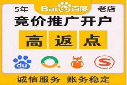 百度推广成功案例分析
